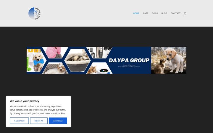 Screenshot of daypagroup.com