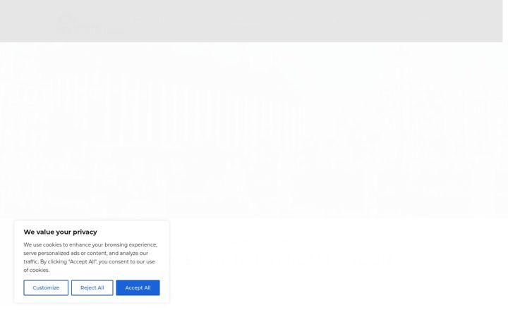 Screenshot of daytripsfromlondon.co.uk