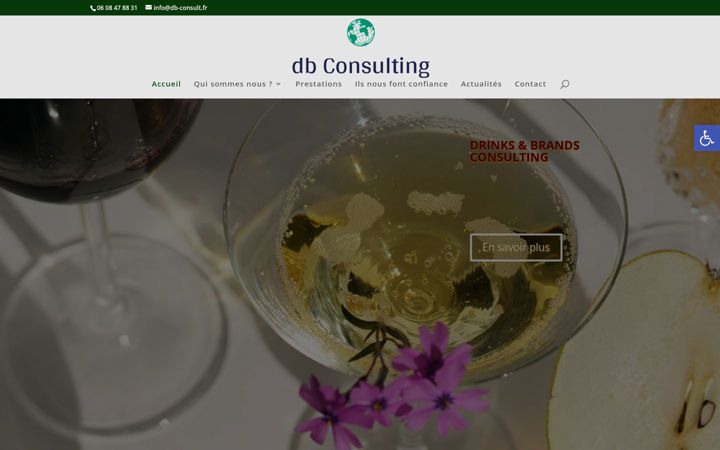 Screenshot ta' db-consult.fr
