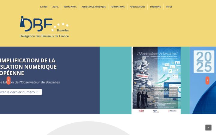 Screenshot of dbfbruxelles.eu