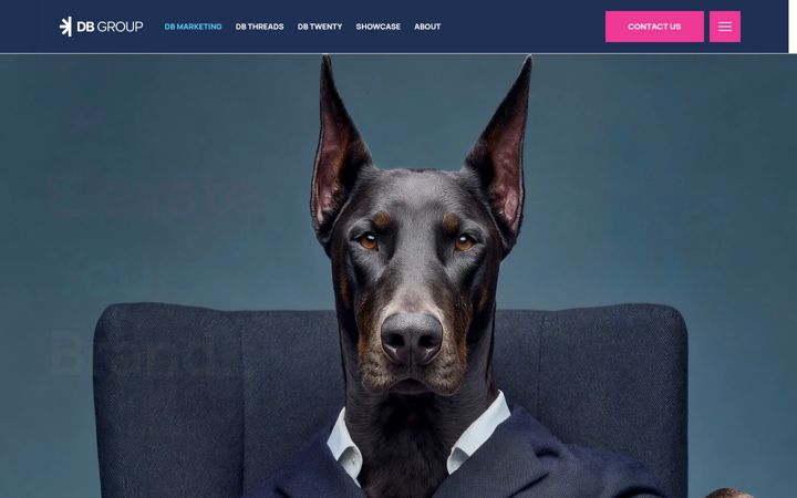 Screenshot of dbgp.co.uk
