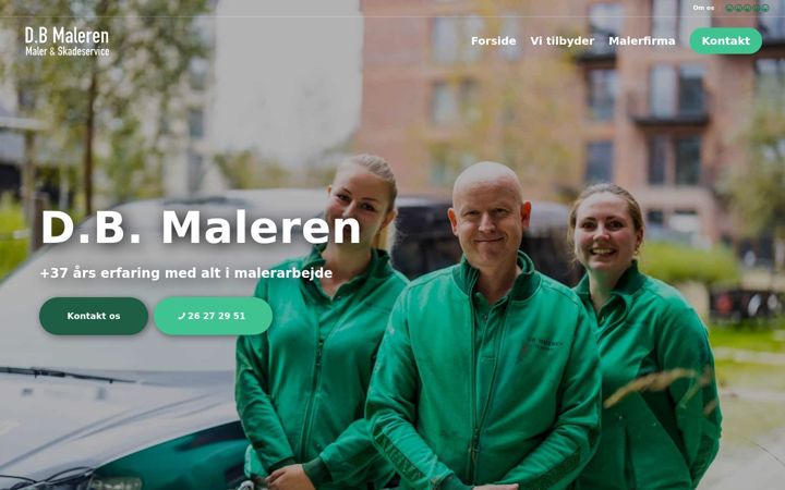Screenshot of dbmaleren.dk