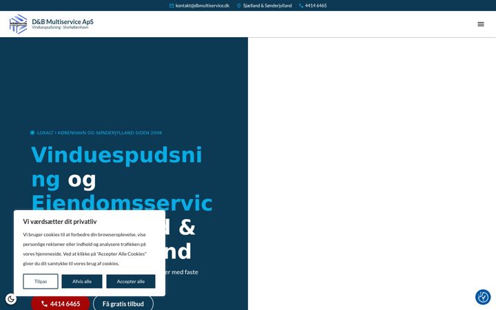 Screenshot of dbmultiservice.dk