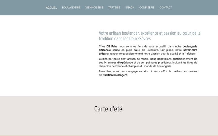 Screenshot ta' dbpain.fr