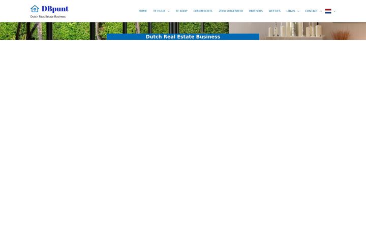 Screenshot van dbpunt.nl