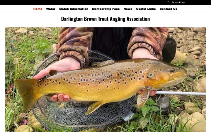 Screenshot of dbtaa.org.uk