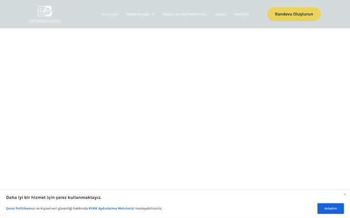 Screenshot of dbveterinerklinigi.com
