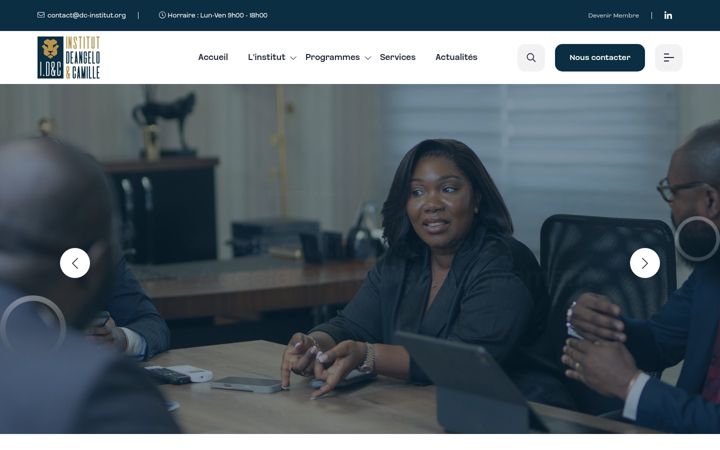 Screenshot of dc-institut.org