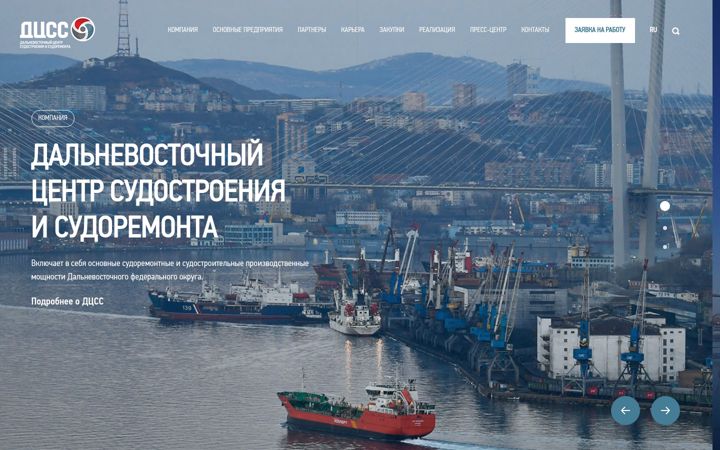 Screenshot von dcss.ru