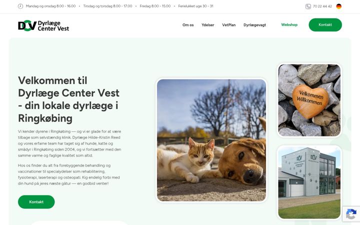 Screenshot of dcvest.dk