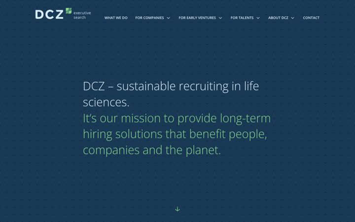 Screenshot of dcz-executivesearch.com