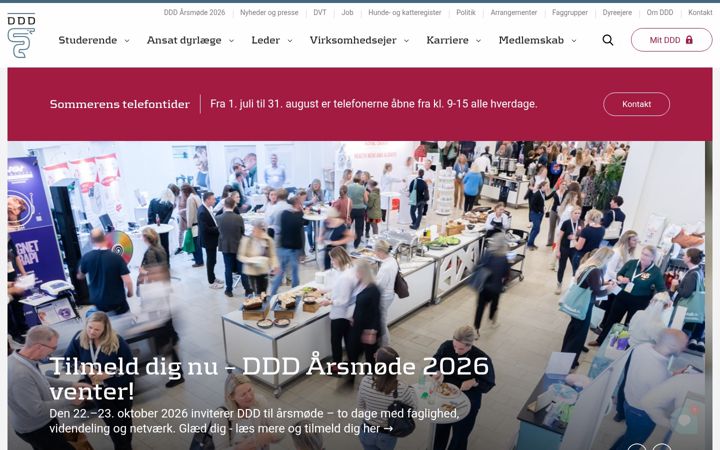 Screenshot of ddd.dk
