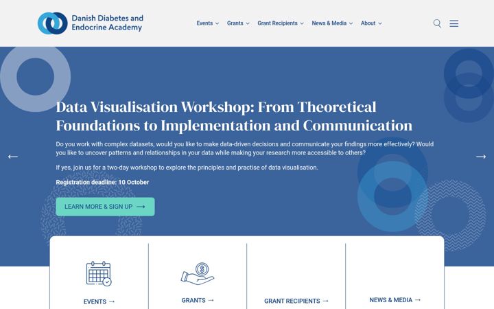 Screenshot of ddeacademy.dk