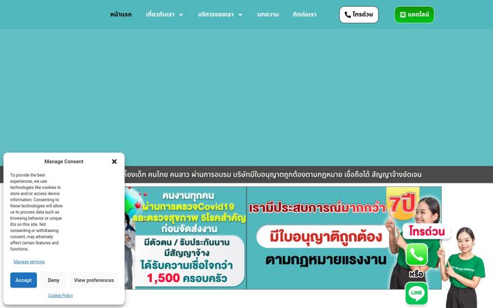 Screenshot of ddmaid.com