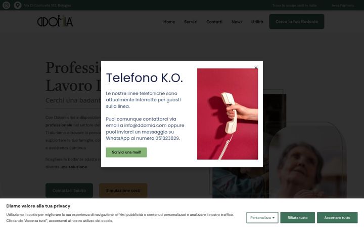Screenshot of ddomia.com