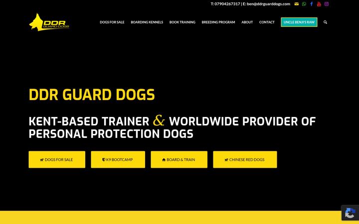 Screenshot of ddrguarddogs.com