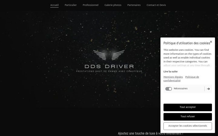 Screenshot of ddsdriver.com