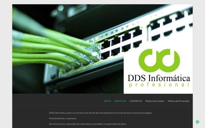 Snímek obrazovky ddsinformatica.es
