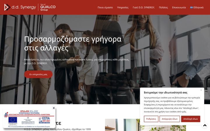 Screenshot of ddsynergy.gr