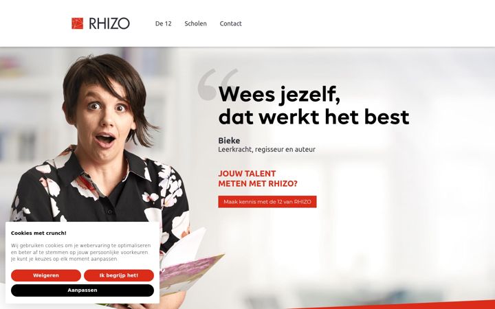 Screenshot of de12vanrhizo.be