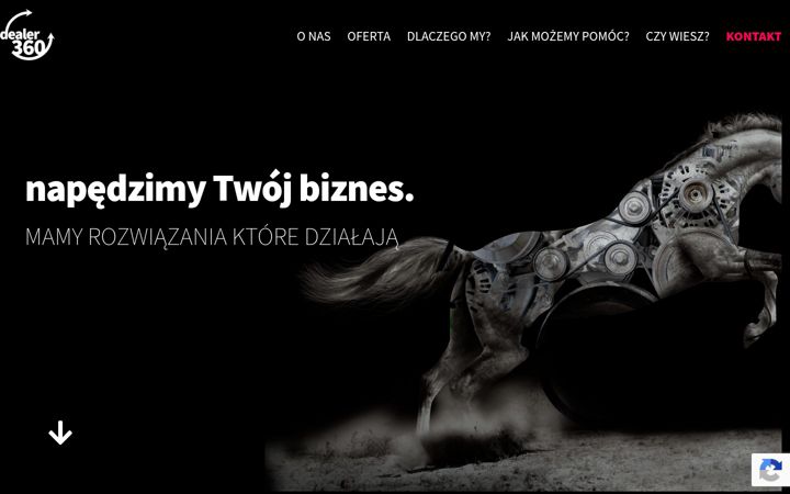 Screenshot van dealer360.pl