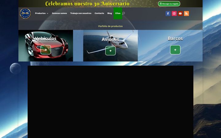 Snímek obrazovky dealerbroker.es