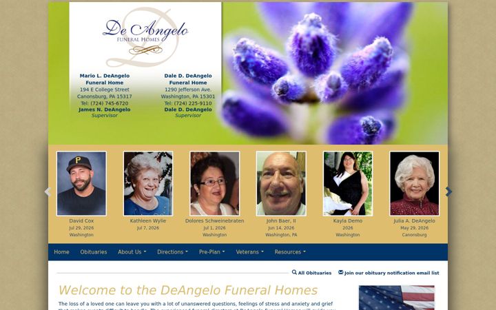 Screenshot of deangelocare.com