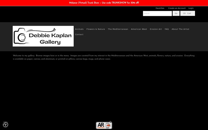 Screenshot of debbiekaplangallery.com
