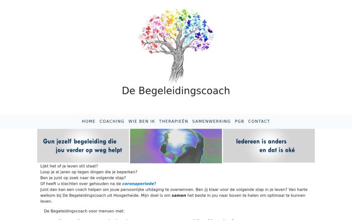 Screenshot ta' debegeleidingscoach.nl