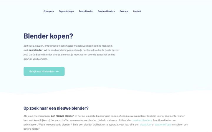 Ekraanipilt saidist debesteblender.nl
