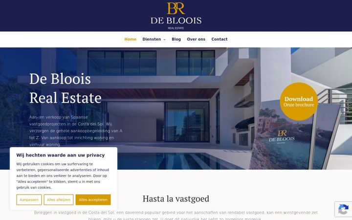 Screenshot of deblooisrealestate.com
