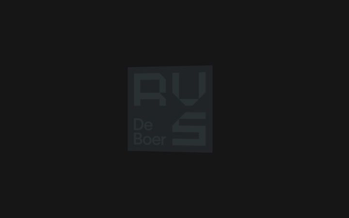 Captura de pantalla de deboerrvs.nl