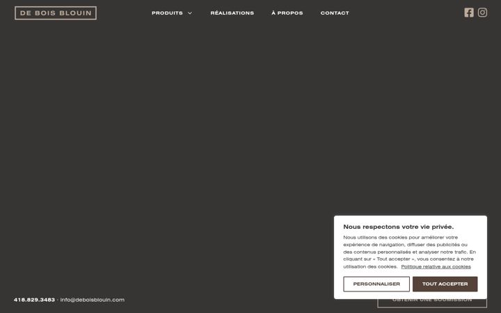 Screenshot of deboisblouin.com