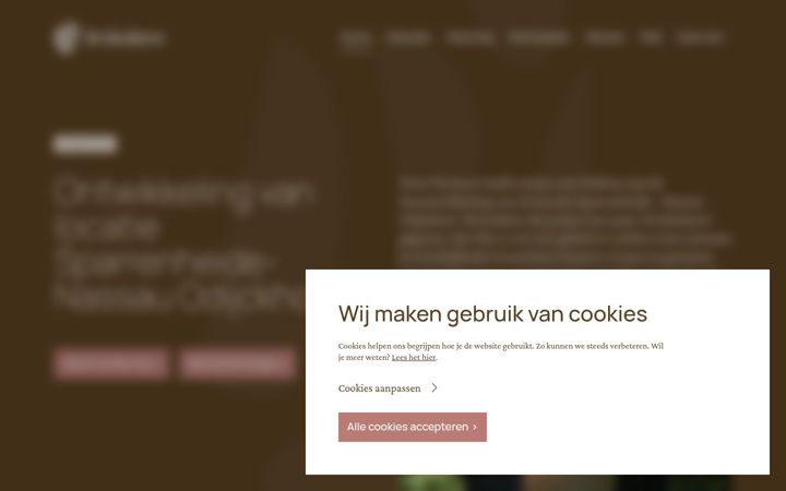 Ekrānuzņēmums no deboshove.nl