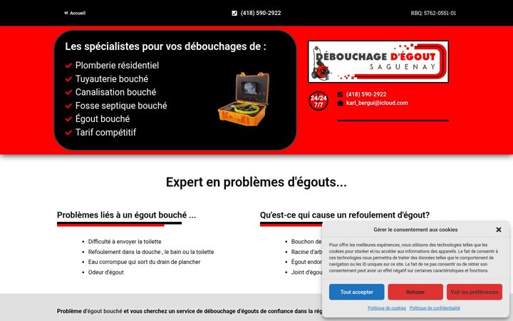 Screenshot of debouchagedegoutsaguenay.com