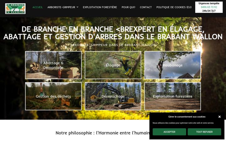 Screenshot of debrancheenbranche.be