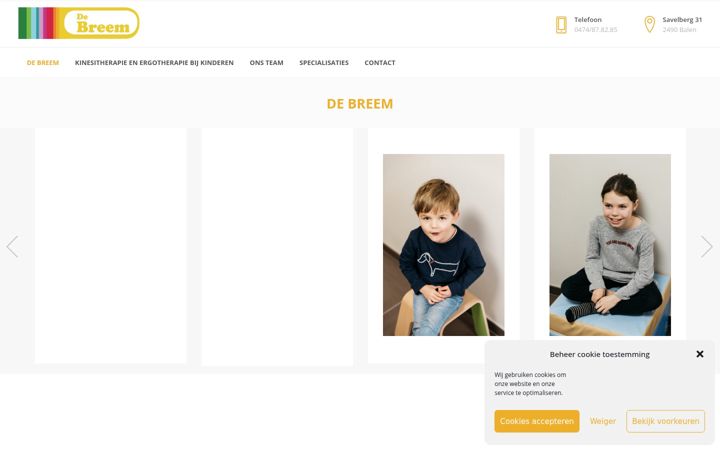 Screenshot of debreem.be