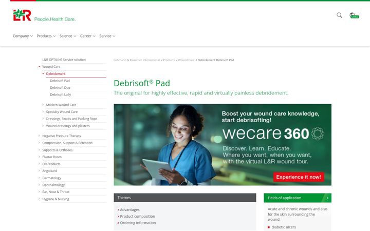 Screenshot of debrisoft.com