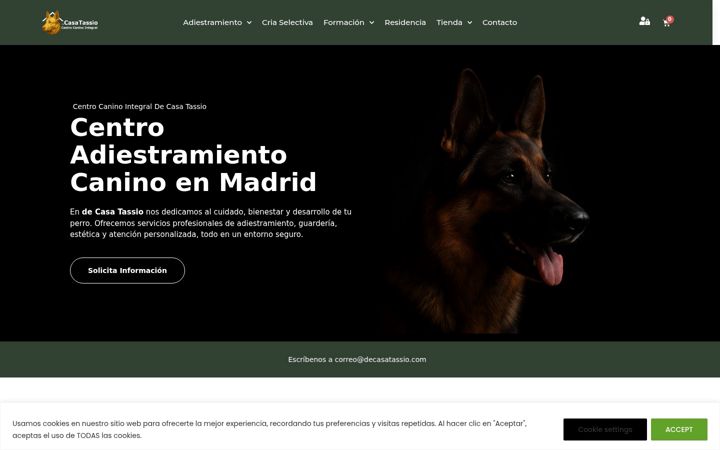Screenshot of decasatassio.com