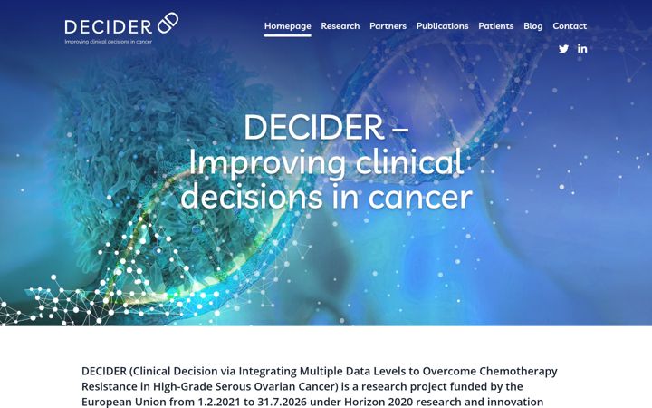 Screenshot of deciderproject.eu