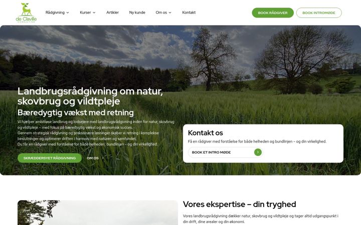 Zrzut ekranu declaville.com