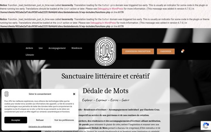 Ekraanipilt saidist dedaledemots.fr