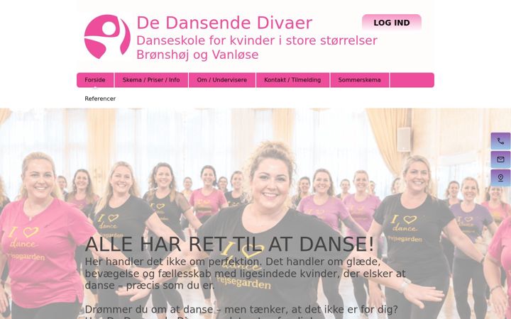 Screenshot of dedansendedivaer.dk