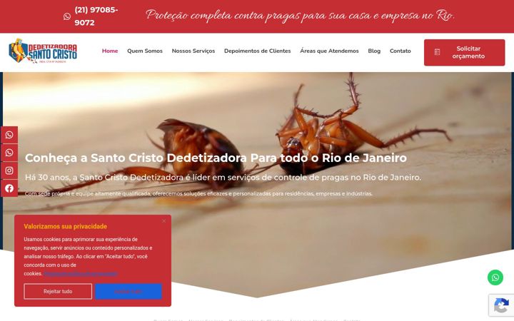 Screenshot stránky dedetizadorasantocristo.com.br