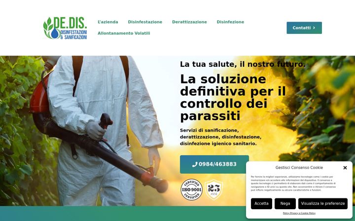 Screenshot of dediscontrol.it