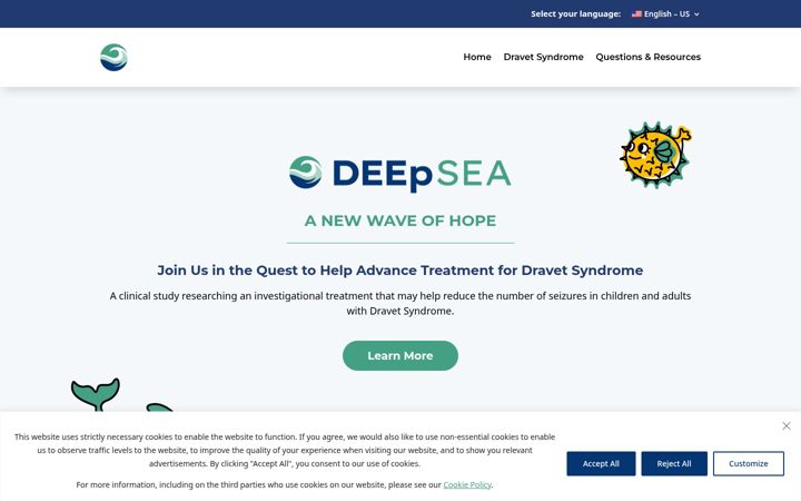 Screenshot of deepdsstudy.com