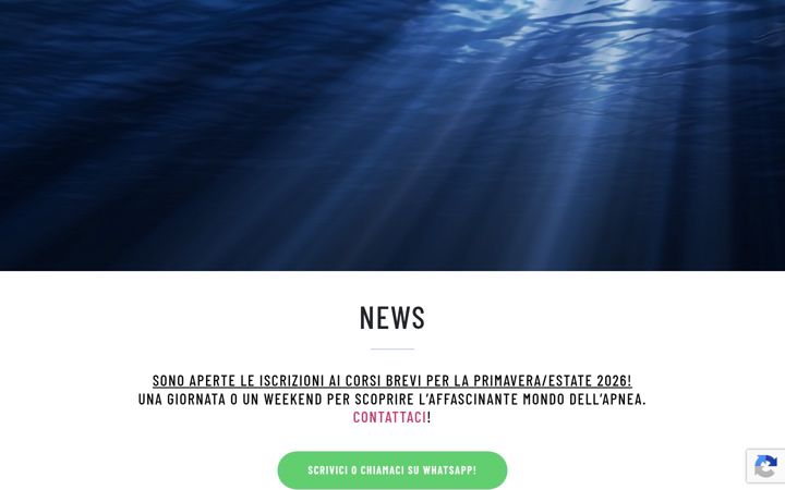 Screenshot of deepinstinctfreediving.com