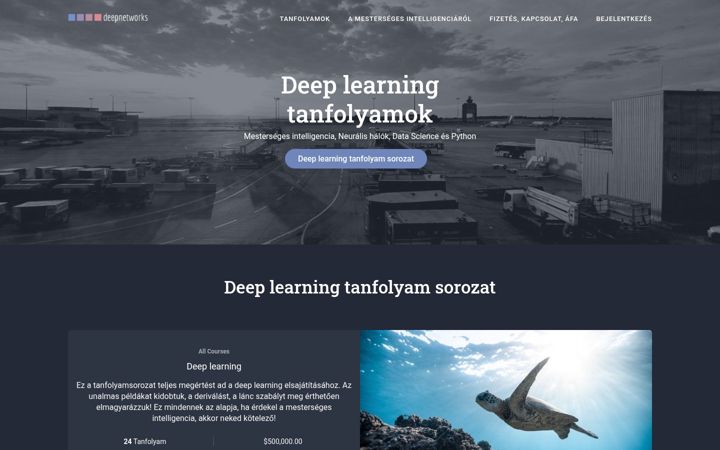 Zrzut ekranu deepnetworks.hu