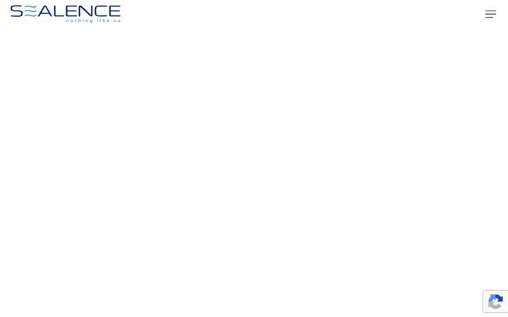 Screenshot of deepspeed.it