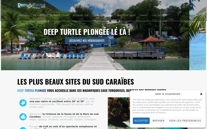 Screenshot of deepturtleplongee.fr
